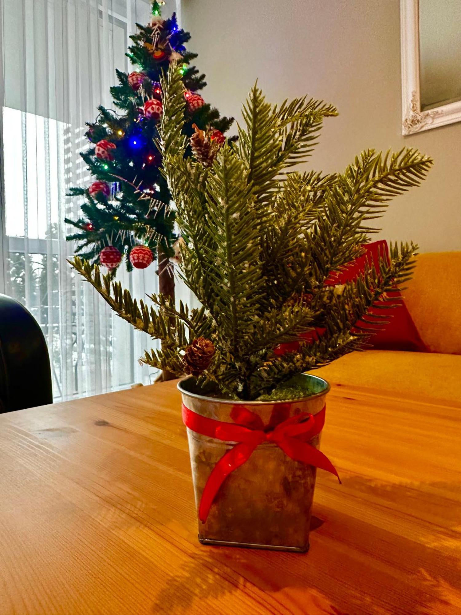 Apartament Z Widokiem Na Szyndzielnie Bielsko-Biała Exteriör bild